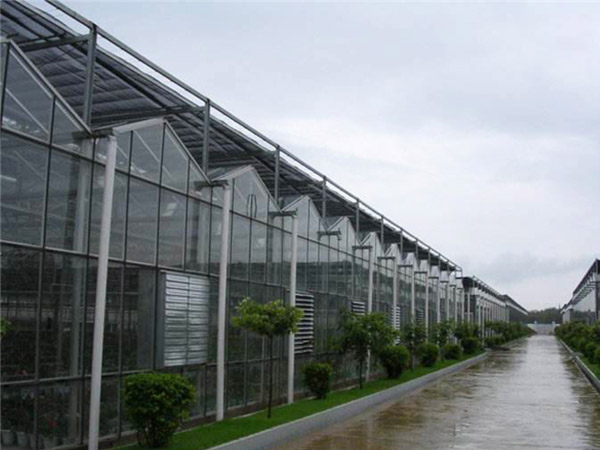 玻璃温室大棚建设时需要哪些因素？